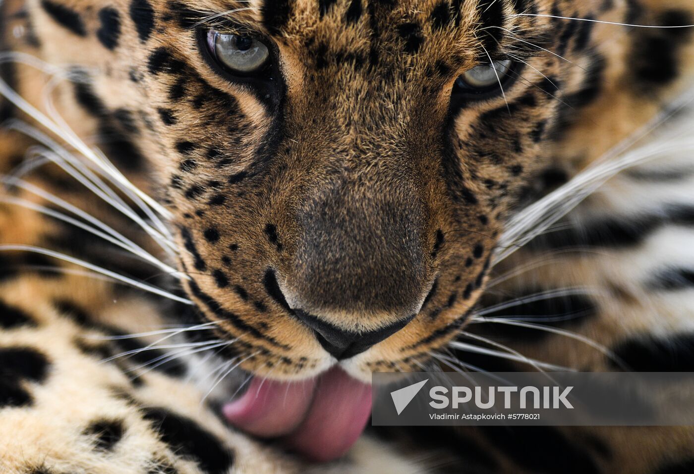 Russia Moscow Zoo