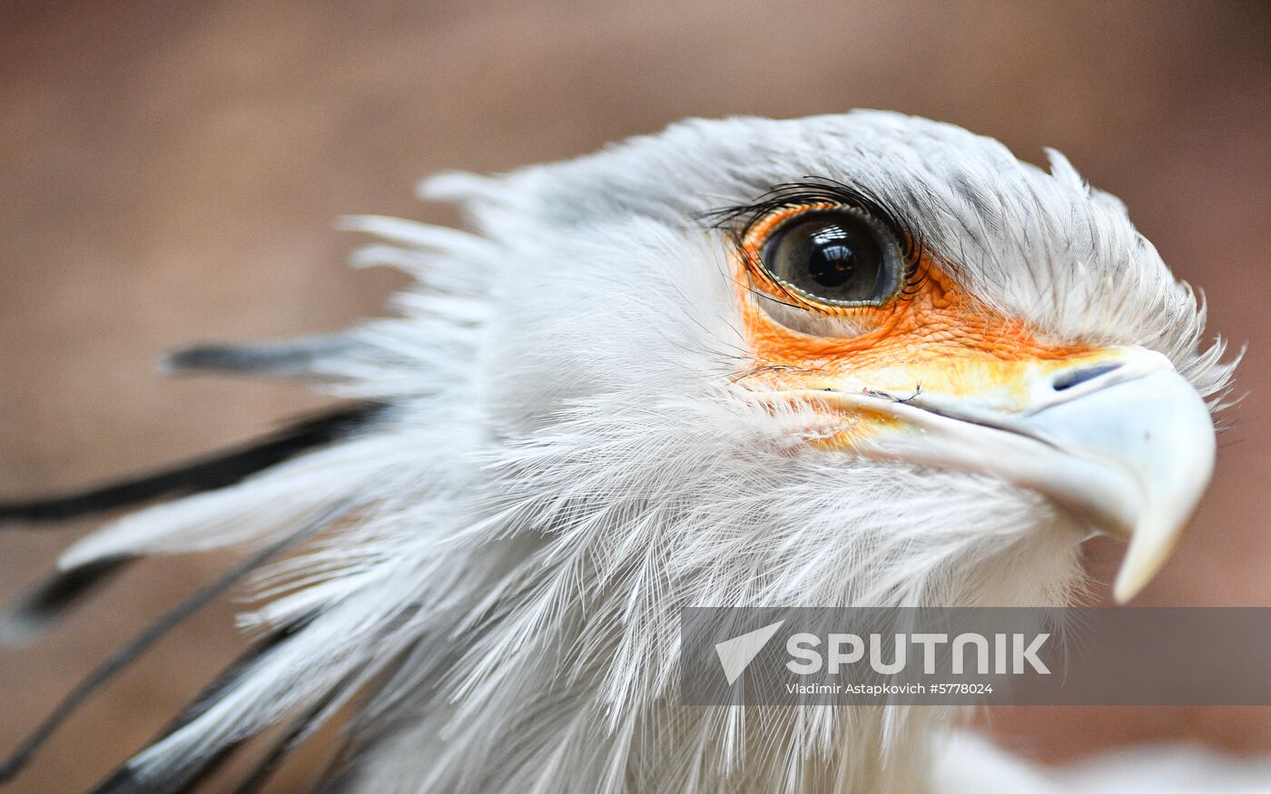 Russia Moscow Zoo
