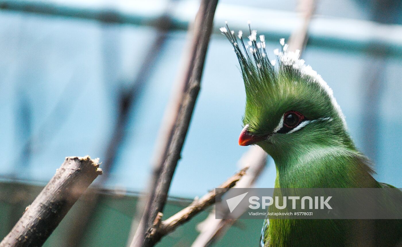 Russia Moscow Zoo