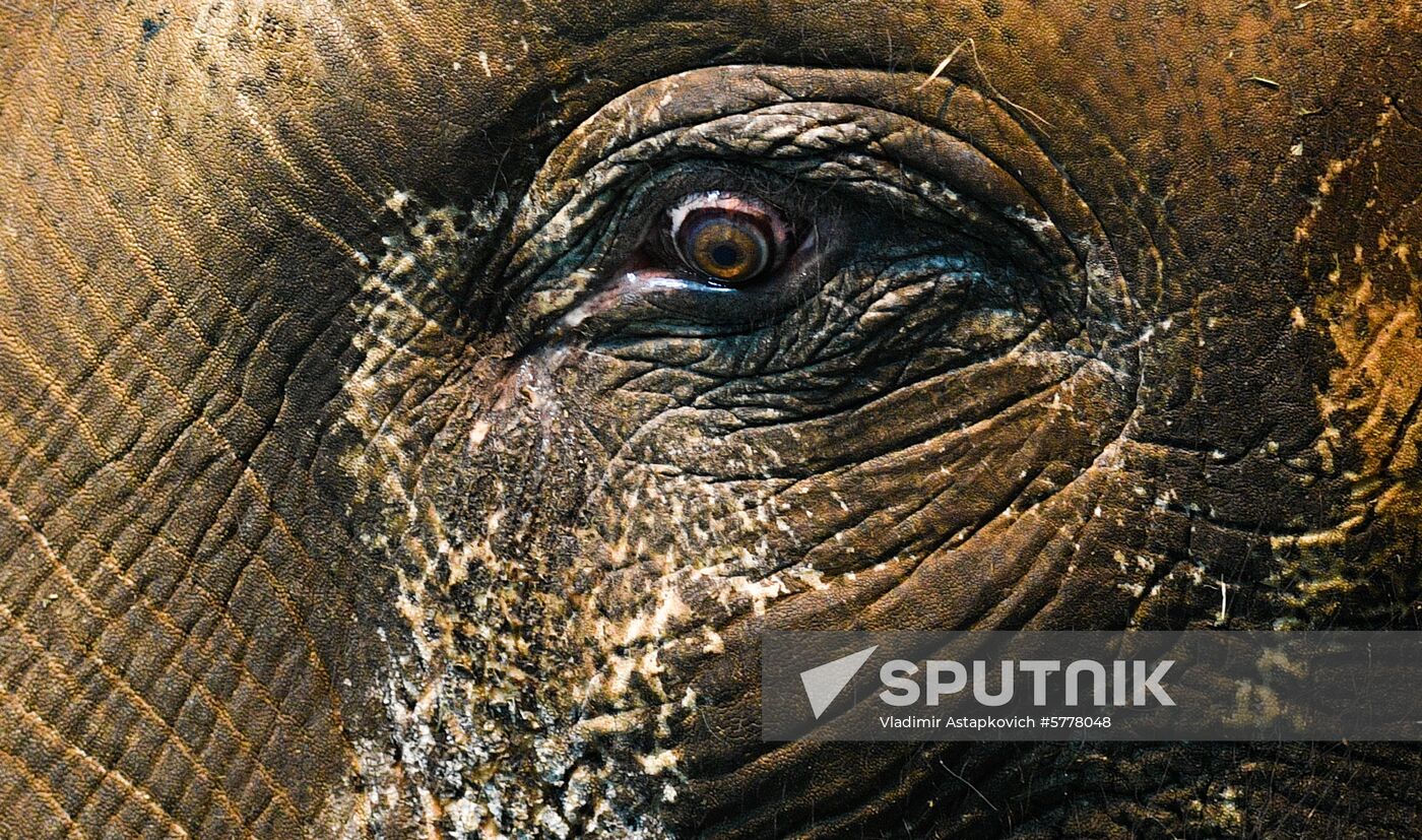 Russia Moscow Zoo