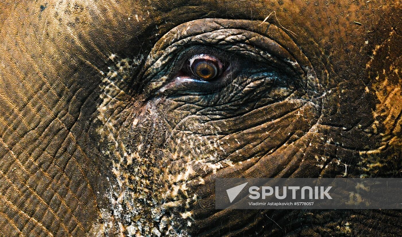 Moscow Zoo