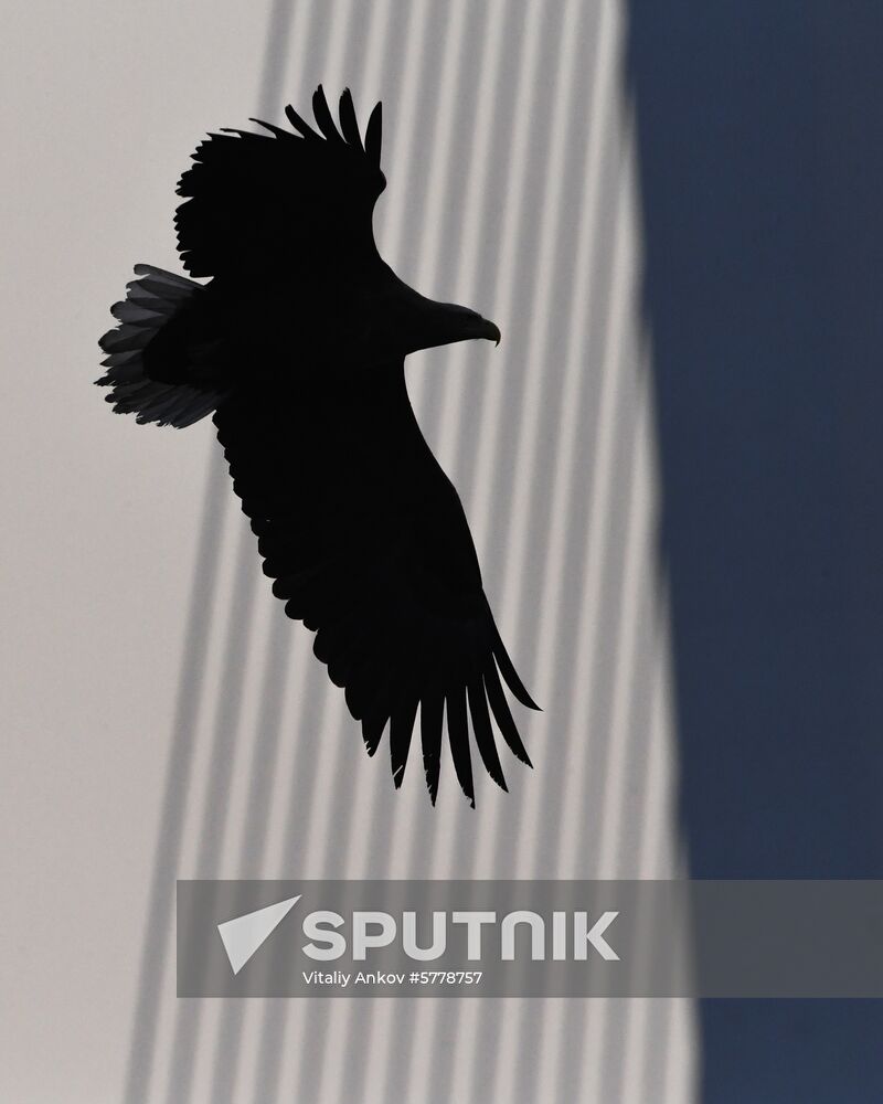 Russia Vladivostok