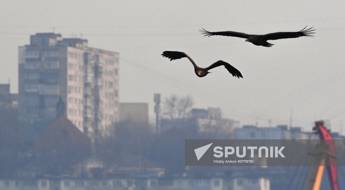 Russia Vladivostok
