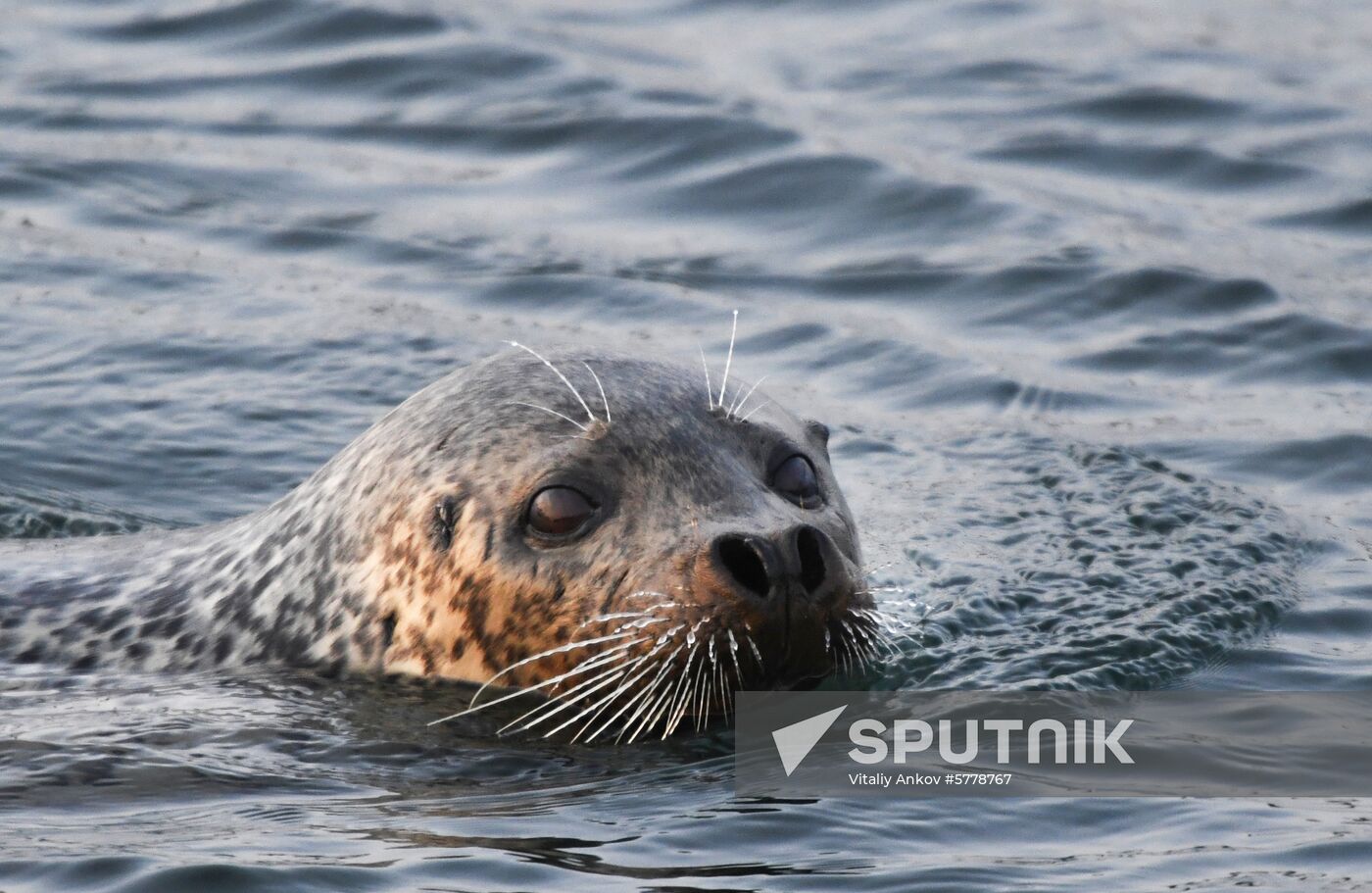 Russia Vladivostok