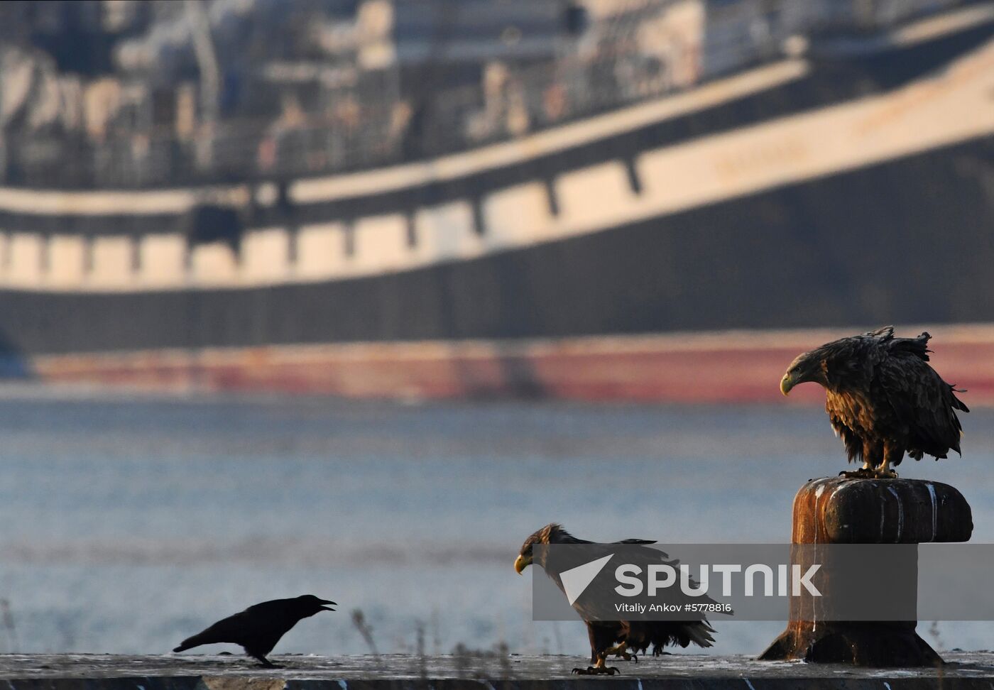 Russia Vladivostok