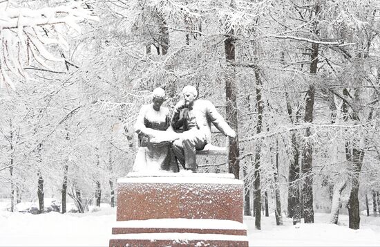Snowfall in Moscow