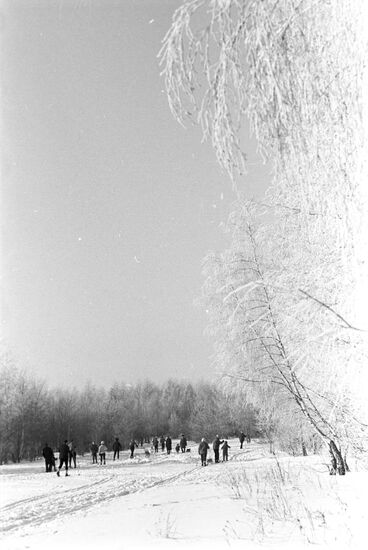 Winter recreation in Moscow Region