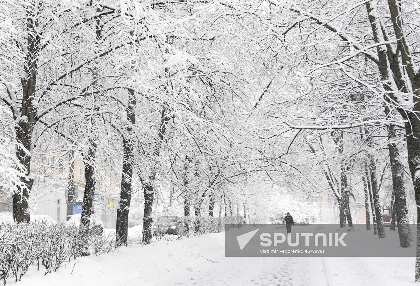 Russia Snow