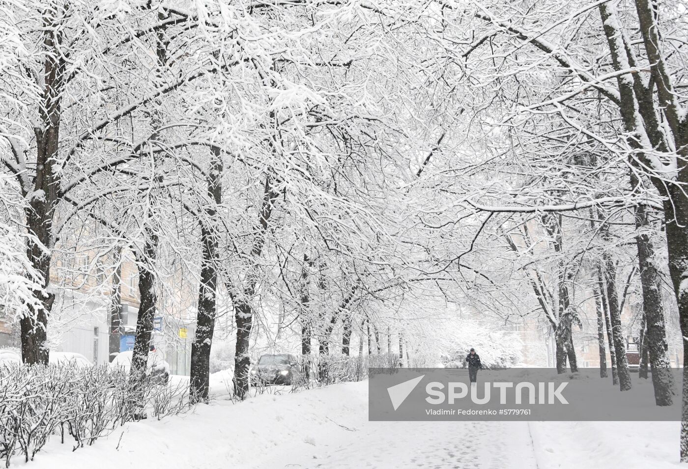 Russia Snow