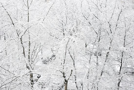Russia Snow