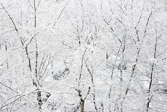 Russia Snow