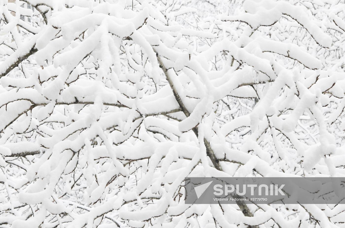Russia Snow