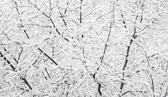 Russia Snow