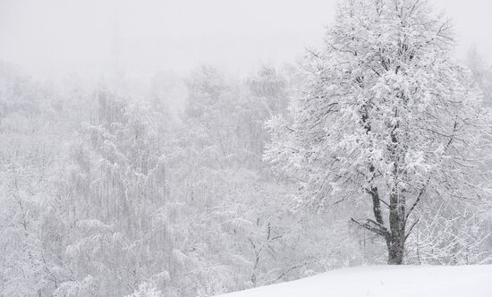 Russia Snow