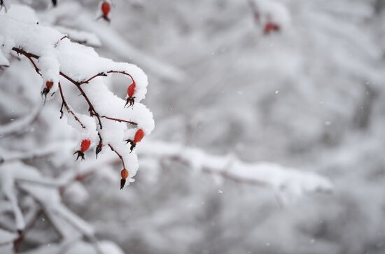 Russia Snow