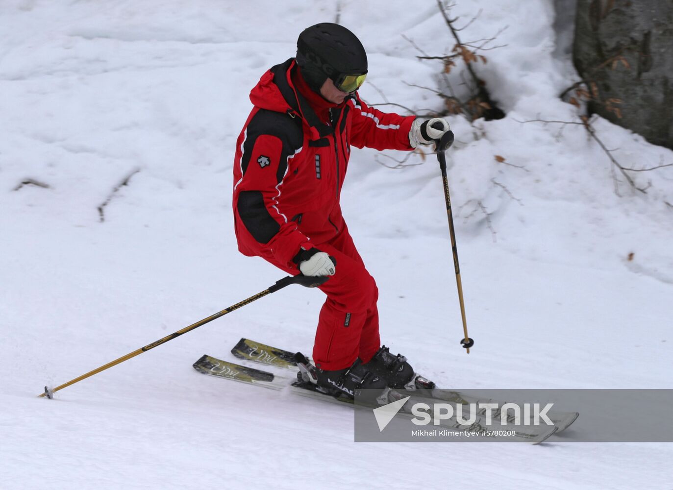 President Vladimir Putin's working trip to Sochi