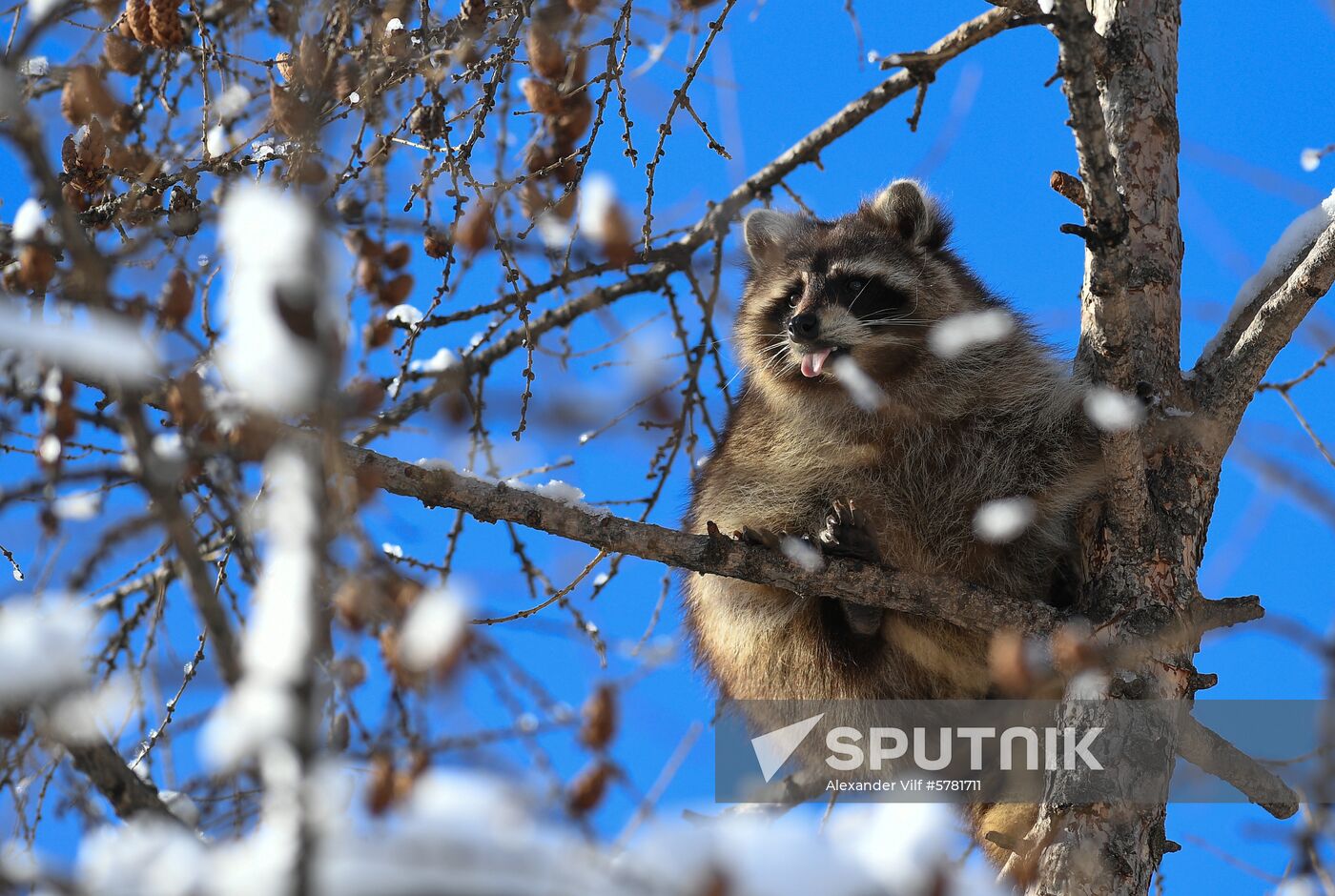 Russia Moscow Zoo