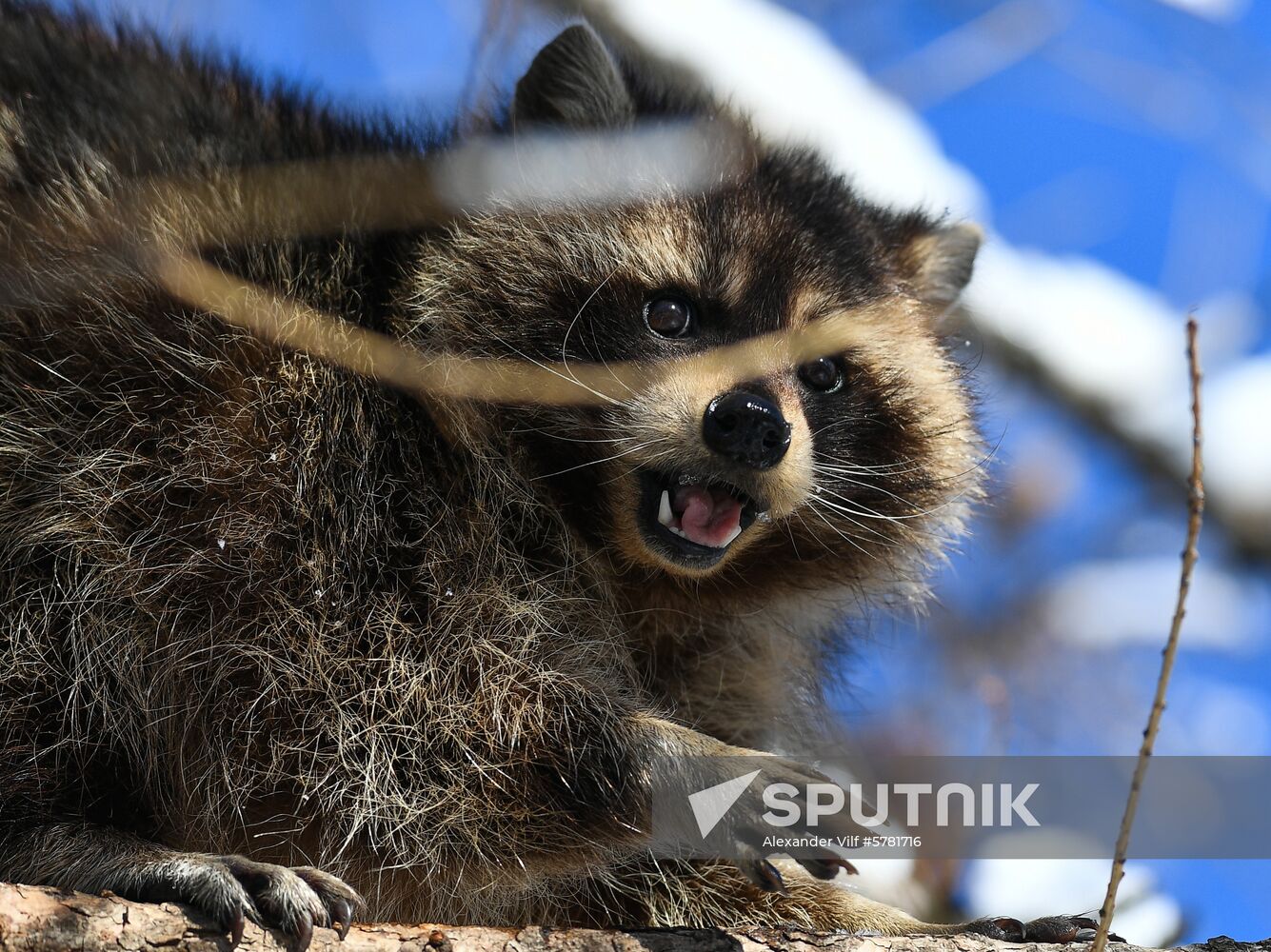 Russia Moscow Zoo