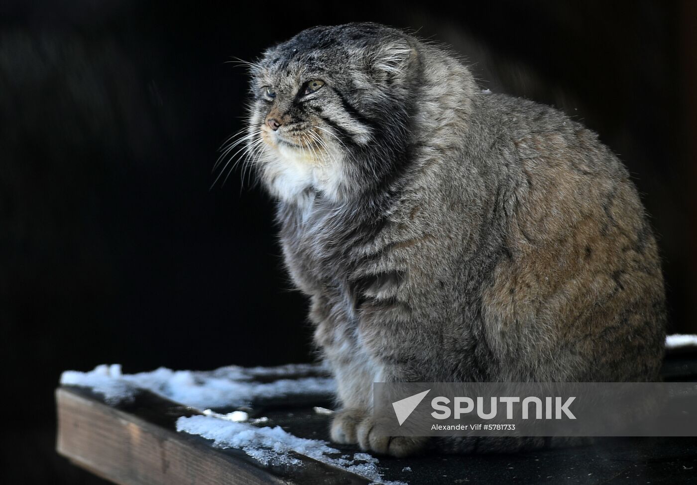 Russia Moscow Zoo