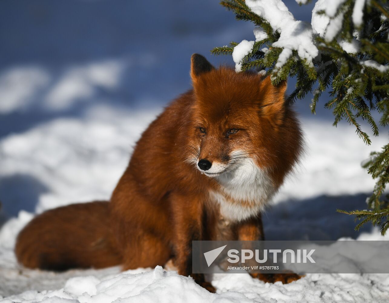 Russia Moscow Zoo