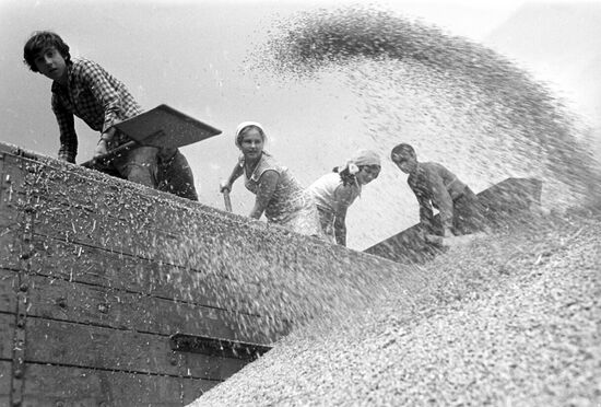 Krasnoye Znamya collective farm in Oryol Region