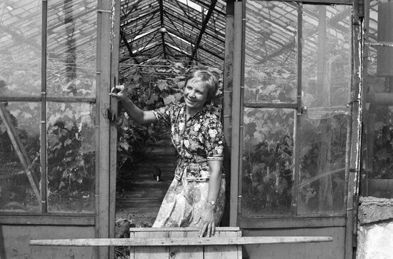 Hothouse on Kunashir Island