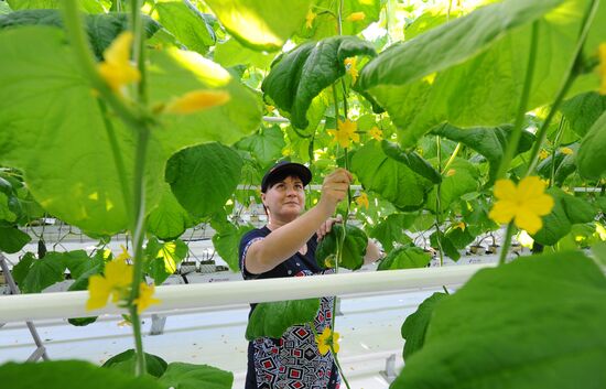 Russia Agriculture