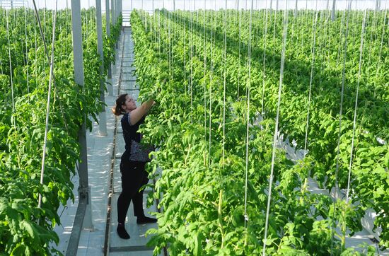 Russia Agriculture