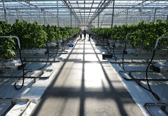Russia Agriculture