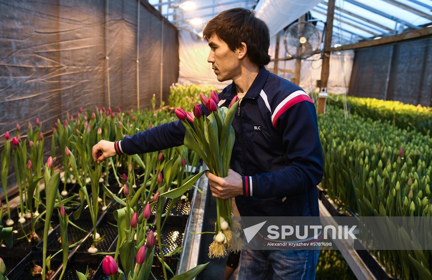 Russia Flowers