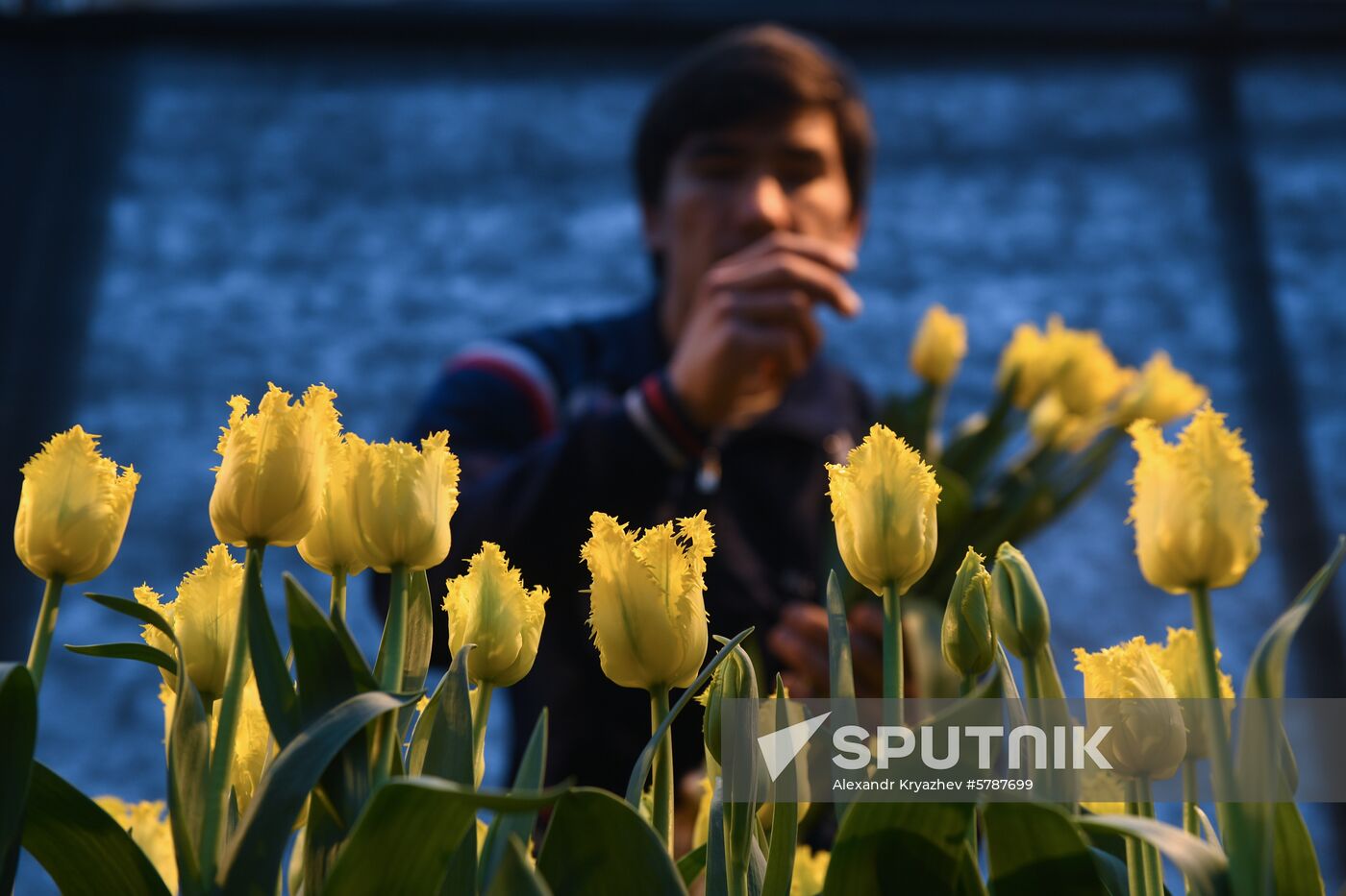 Russia Flowers