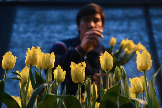 Russia Flowers