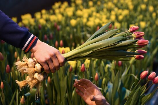 Russia Flowers