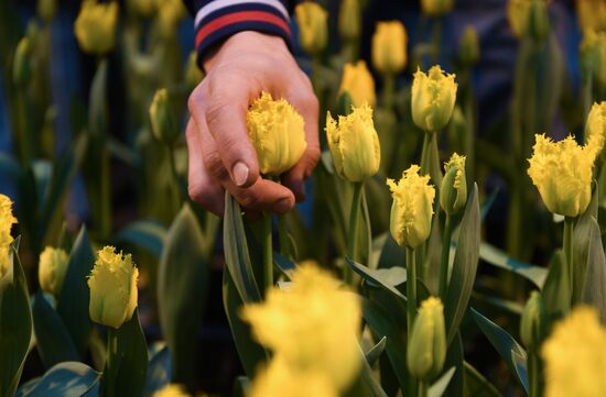 Russia Flowers