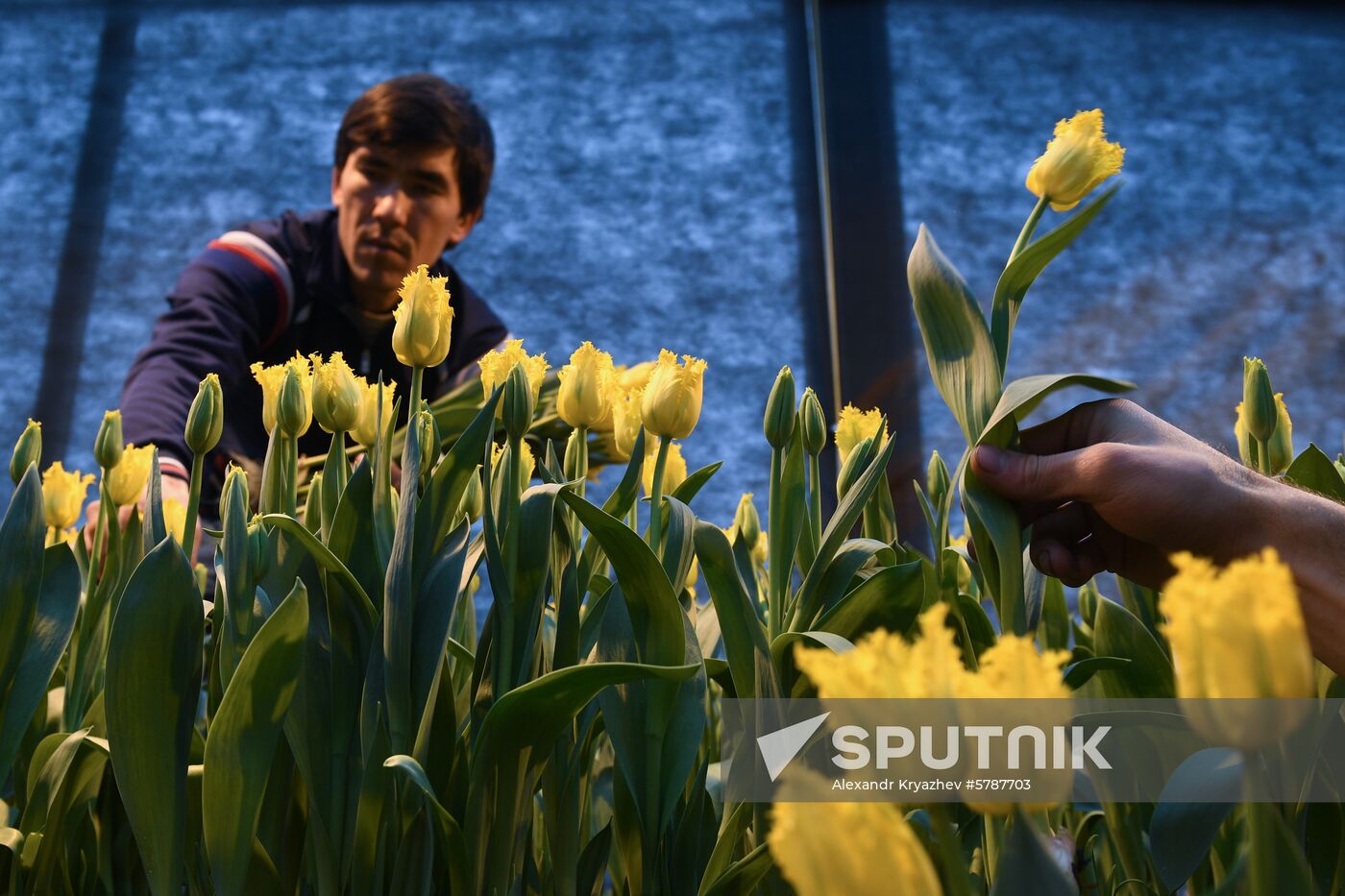 Russia Flowers