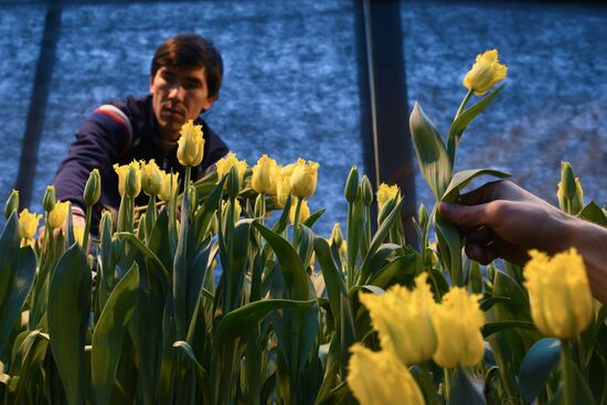 Russia Flowers