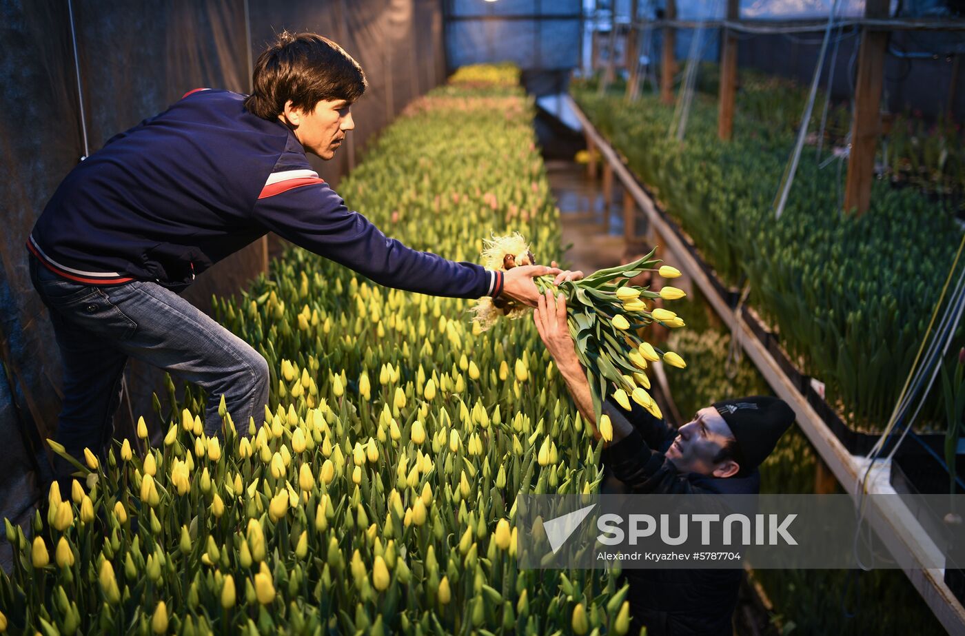 Russia Flowers