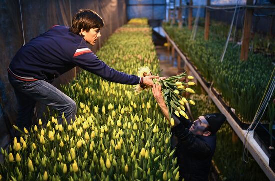Russia Flowers