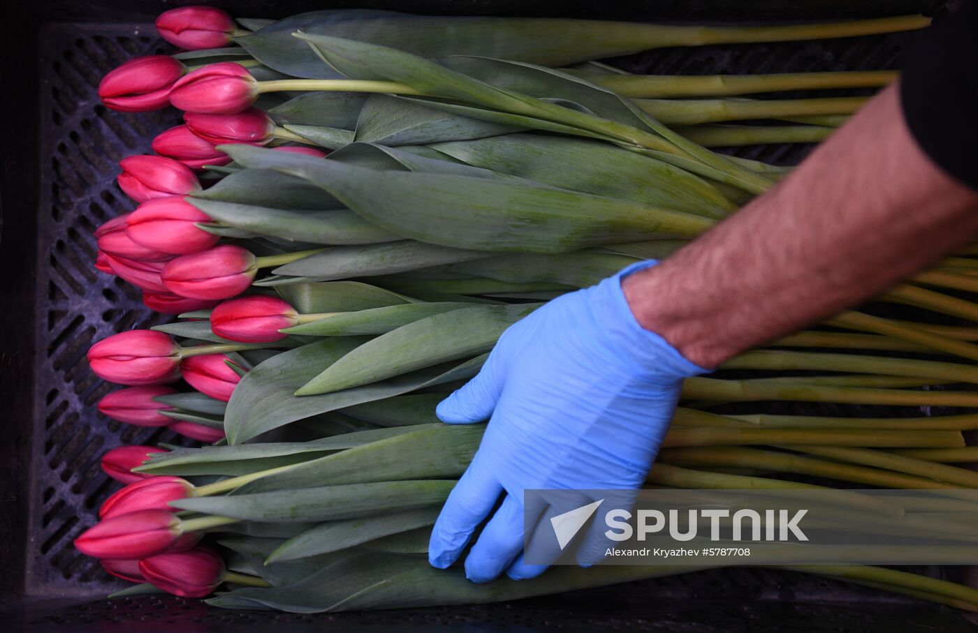 Russia Flowers