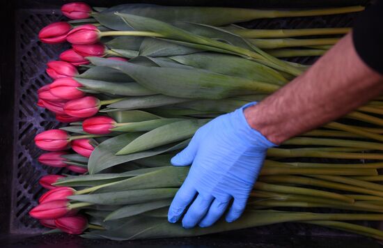 Russia Flowers