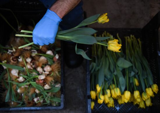 Russia Flowers