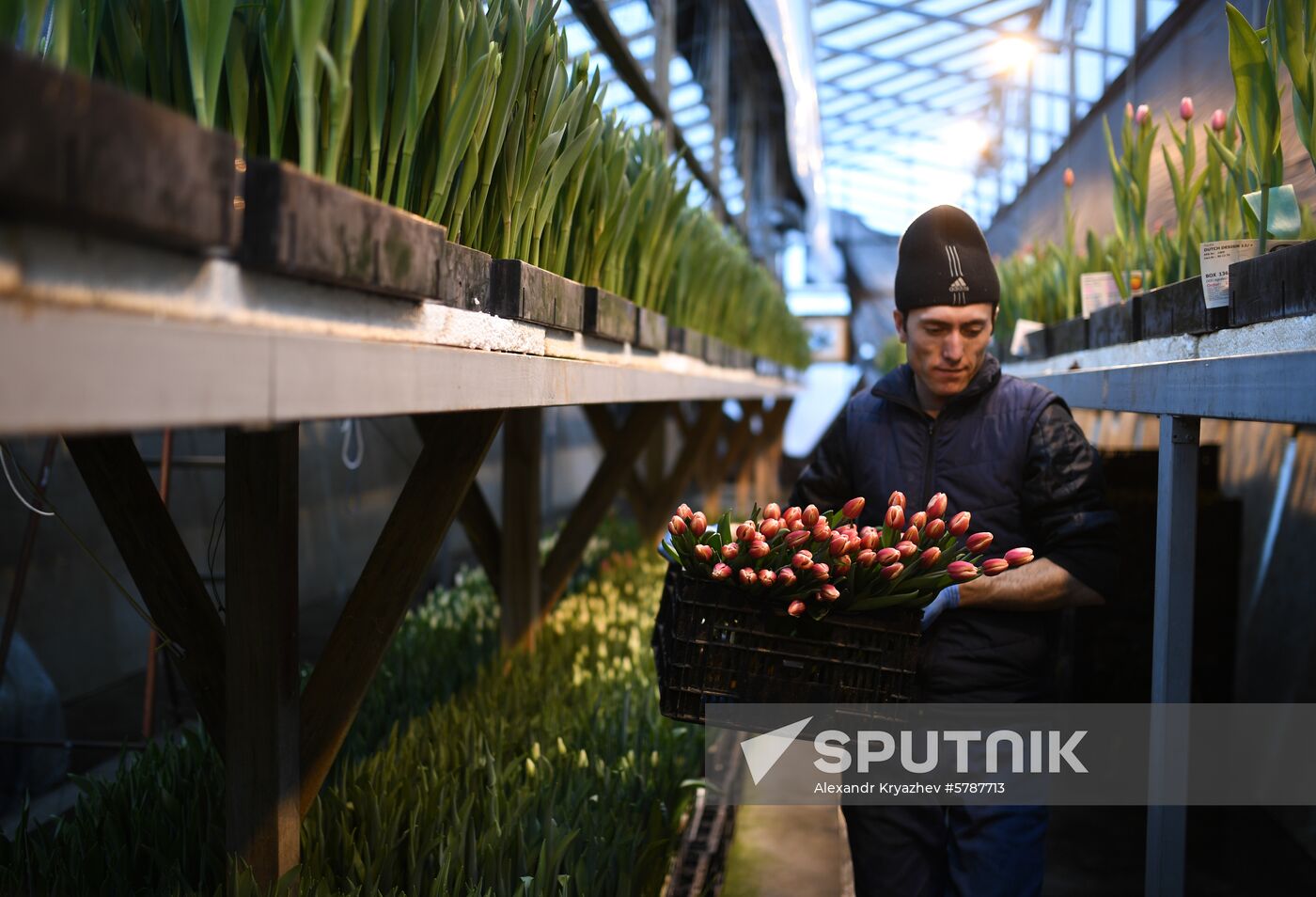 Russia Flowers