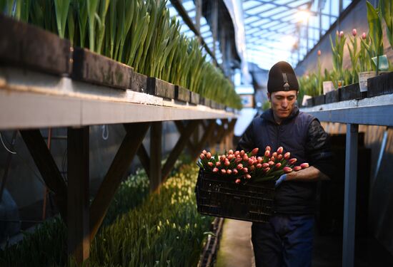 Russia Flowers