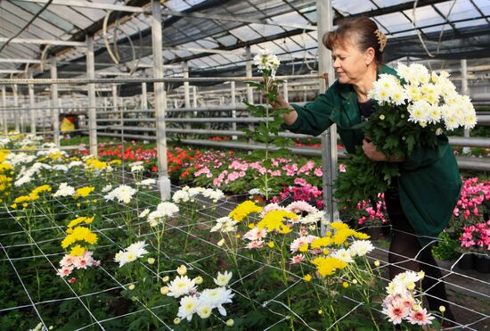 Russia Flowers