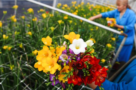 Russia Flowers