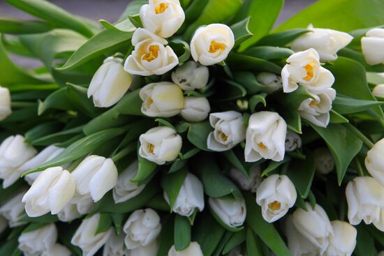 Russia Flowers