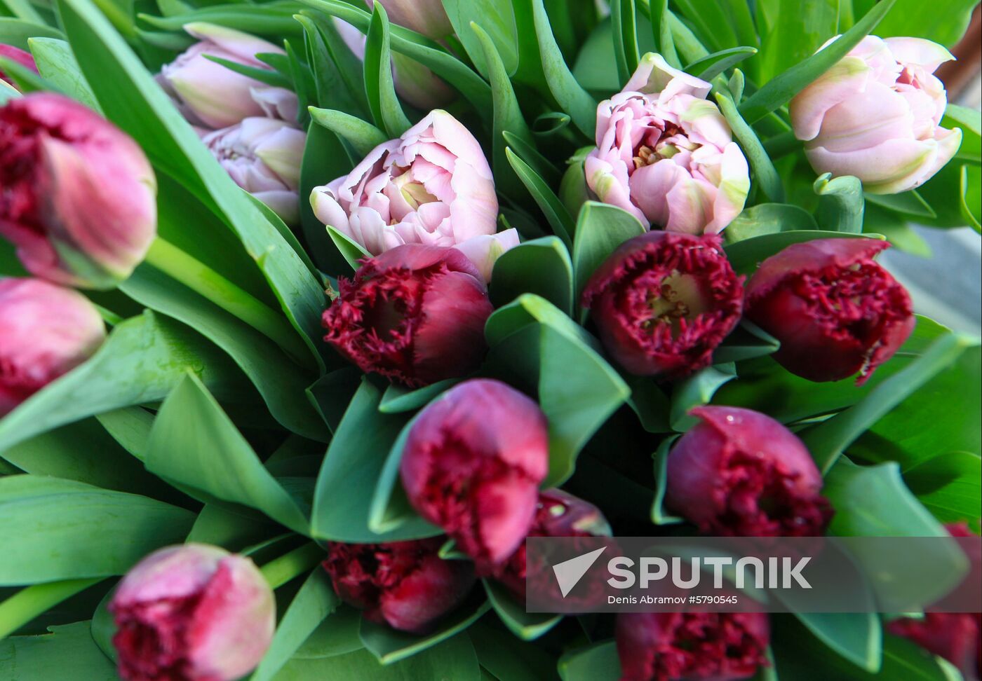 Russia Flowers