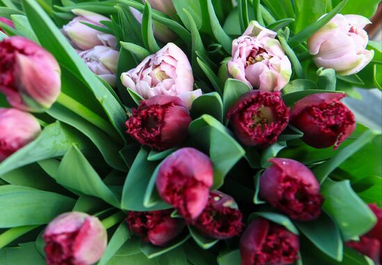 Russia Flowers