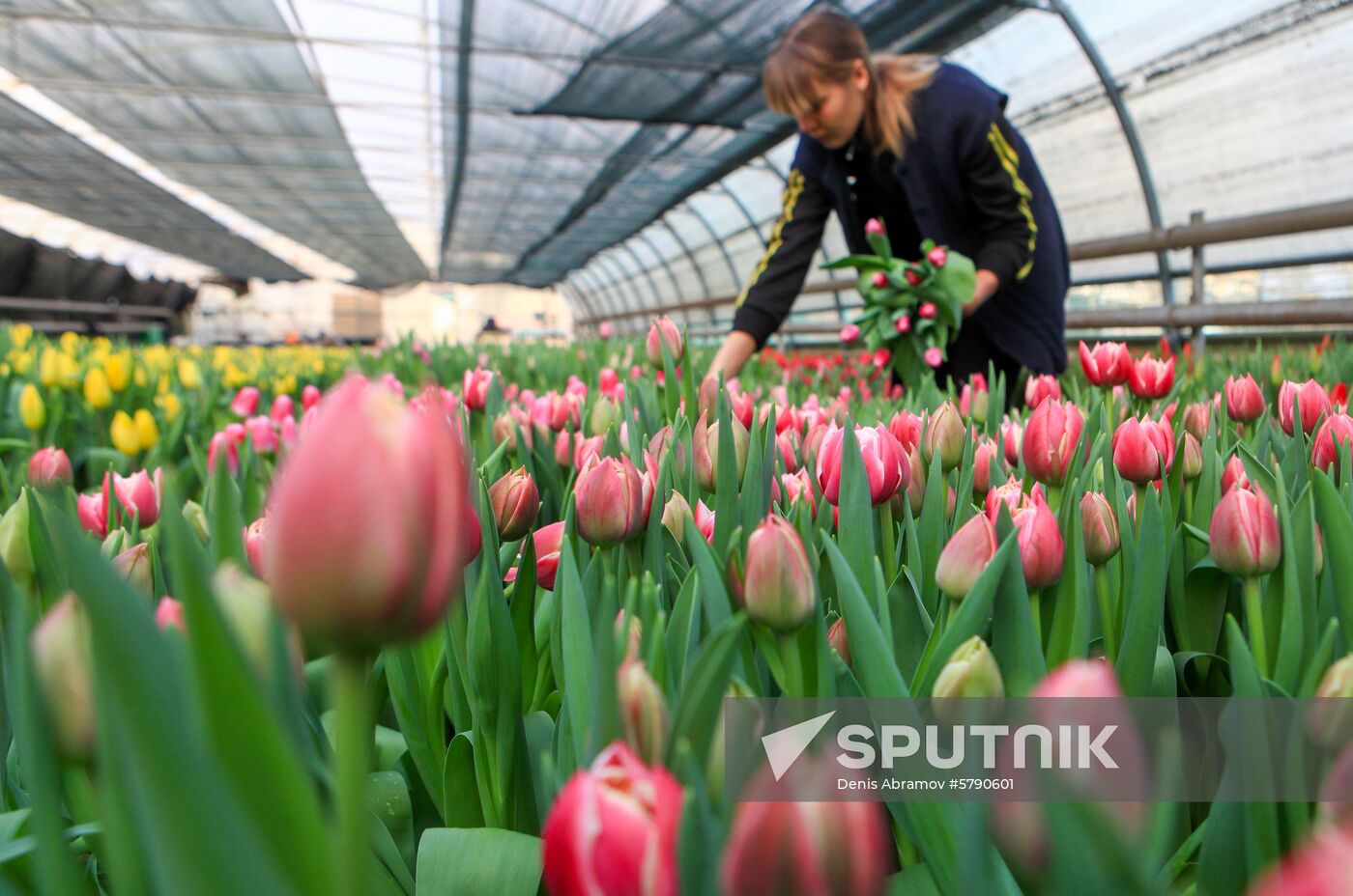 Russia Flowers