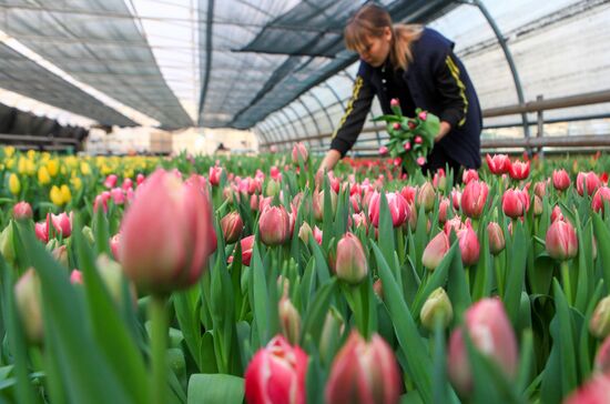 Russia Flowers